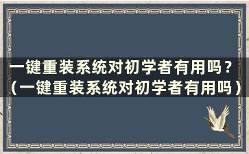 一键重装系统对初学者有用吗？ （一键重装系统对初学者有用吗）